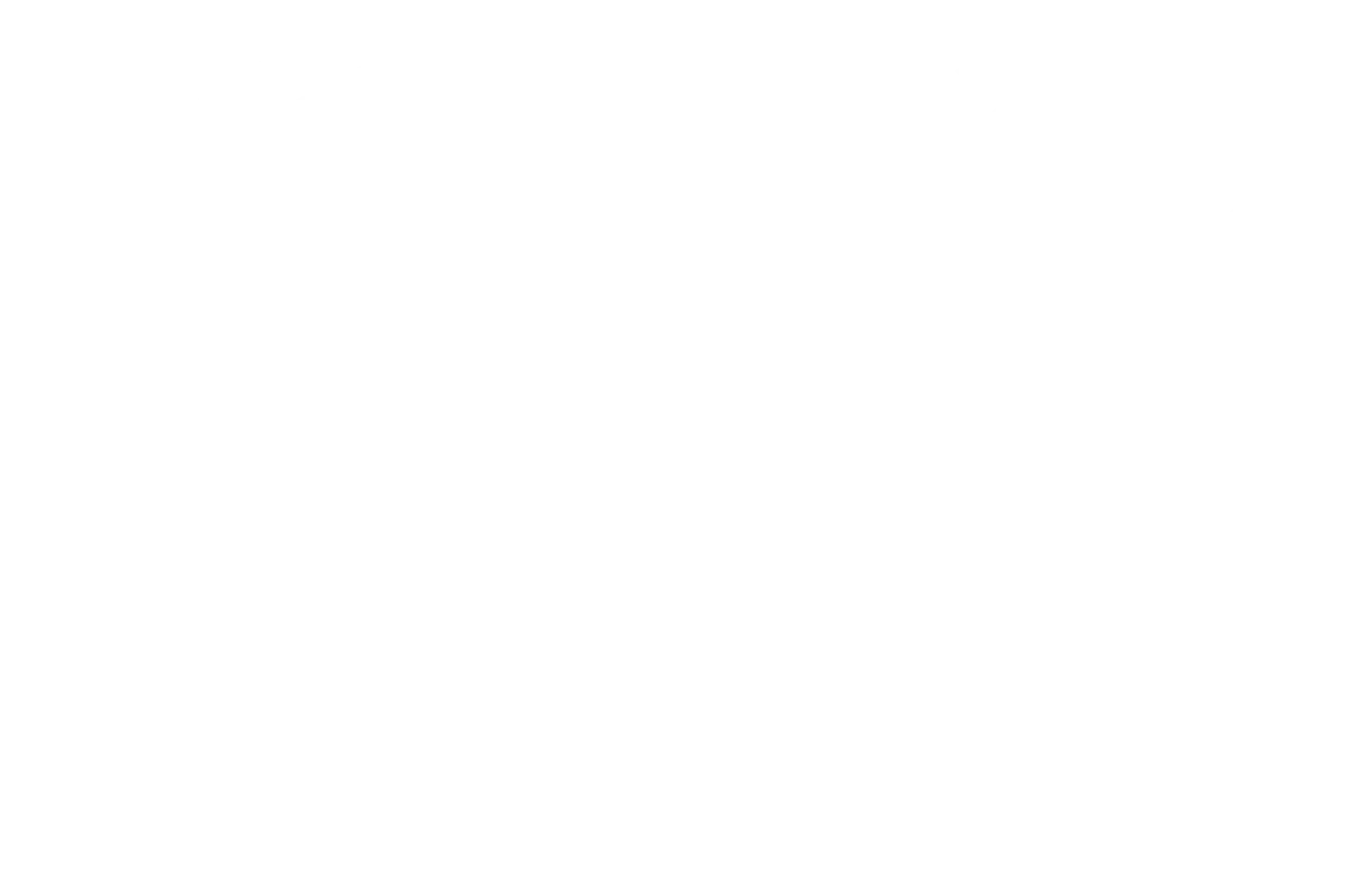 Official selection — Toronto International Women's Film Festival, 2021
