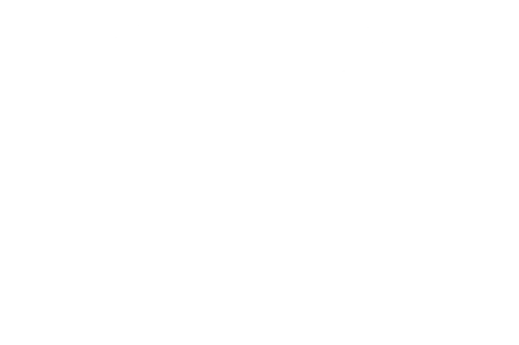 Semi-finalist — Vancouver Independent Film Festival, 2021